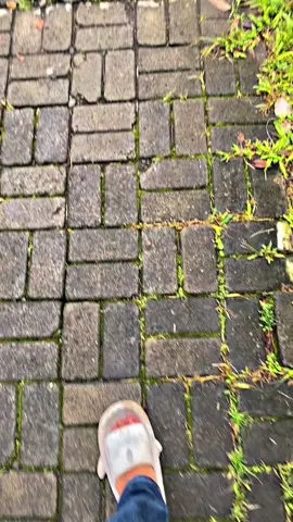 plungkerrr#fyppppppppppppppppppppppp #4upage #trendingtiktok #cctv_truck_indonesia #foryoupage 