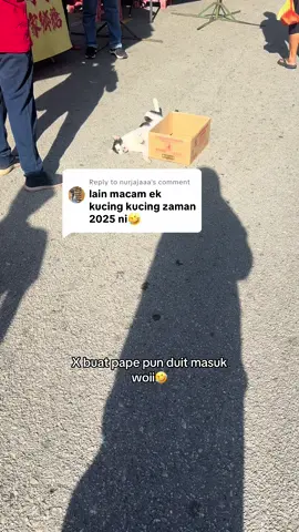 Replying to @nurjajaaa  ye know2 duit masuk#cats#funny 