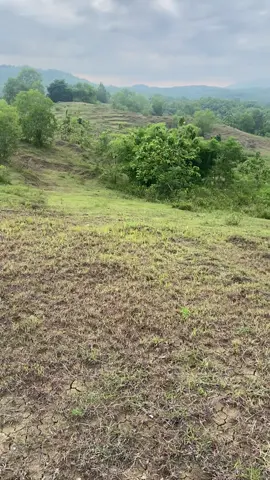 berasa tenang banget pemandangannya 😣#pemandanganalam #bukitajimutwaledcirebon #masukberanda #bismillahfyp #vibes 