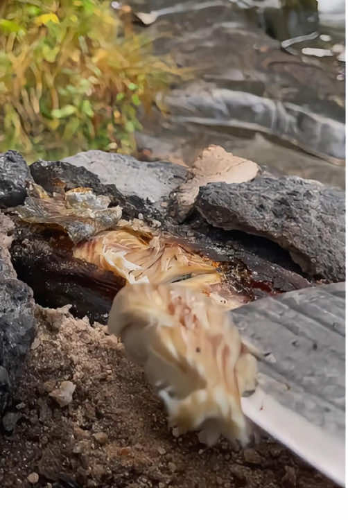 #cookingforest#outdoorcooking #cooking #Recipe #fish  #survivor#cookingasmr #leon#outdoorcooking #cookingnature
