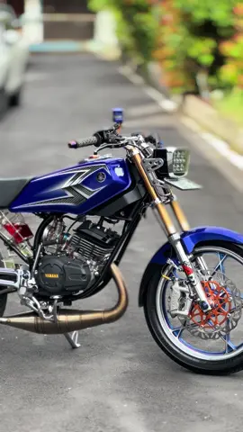 Sak lagu terus budalke wo☺️🥰#kingbluestyle💙 