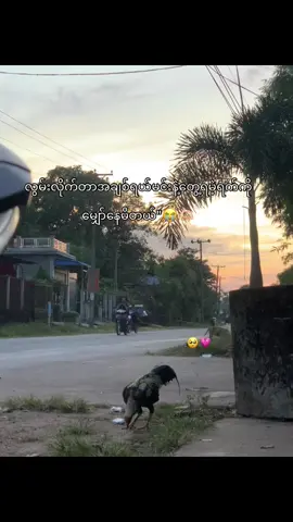 #fyppppppppppppppppppppppp #foryou #fyppppppppppppppppppppppp #😭💗 #fyppppppppppppppppppppppp 