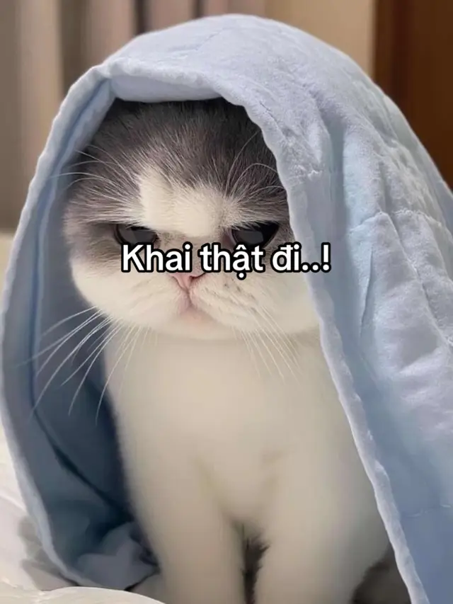 Doii luonn #pminh #story #hanhphuc #yeuemmoingay❤️ #xhtiktok 