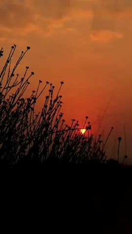 #creatorsearchinsights #ክብሮሚና #fypシ゚ #kibromina @Ruth . 