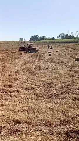 #เทรนด์วันนี้ 