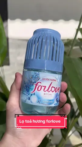 Lọ toả hương thơm phòng mà không bị hắc đâu nha #lotoahuong #lotoahuongthomphong #lotoahuongforlove #mebapreview9 