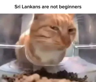 be careful from this type of partners #fypシ゚viral #viral #fyp #trending #foryoupage 