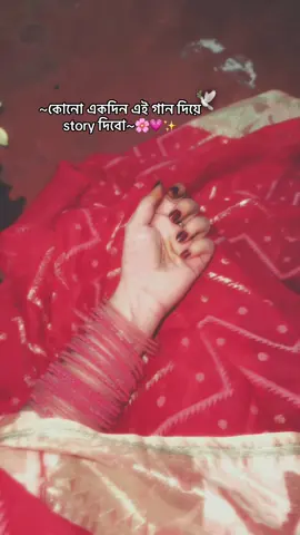 ~ইনশাআল্লাহ পাখি~🤲🌸🕊️#butterfly #sukhi #_roksana101 #trending #fypシ゚viral🖤tiktok☆♡🦋myvideo 