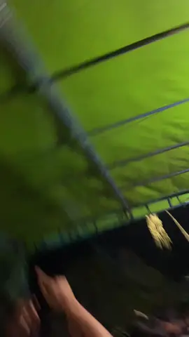 #fyp #like #coment #follow #masukberanda 