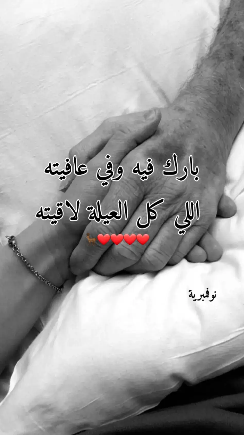 #اعادة_نشر🔁 #الدريبي_غوط_شعال_قورجي_السياحيه_قرقارش🔥 