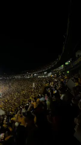 Tigres la locura de México 🙂‍↕️ #libresylokos #tigresuanl #fyp 