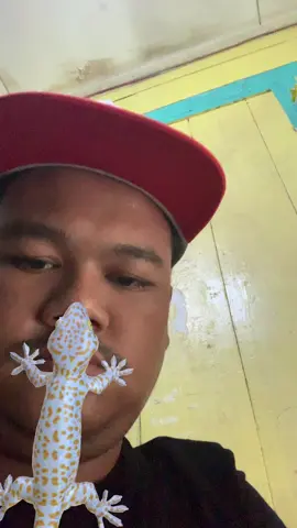 Johh🤣 #fylp #cepu #leginah #osengngos 