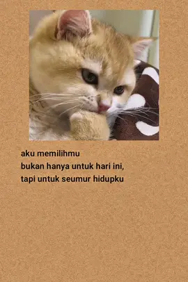 #katakatasedih #katakatabijak #viral #fyp #laguindia 