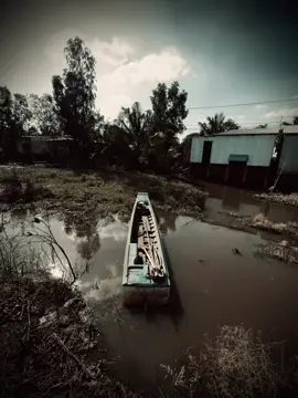 爱情不是激情时刻的甜蜜承诺，而是风雨中默默的忍耐和包容。爱情并非总是牵手或深情的眼神，而是双方选择相守，携手走过不完美的日子。世界或许广阔，选择也纷繁复杂，但只有当我们真心爱一个人时，一个眼神，一个微笑，就足以让整个宇宙变得多余。美好的爱情不是那种让我们不知所措的爱，而是那种让我们心安的爱。 Tình yêu không phải là những lời hứa hẹn ngọt ngào trong phút dây say đắm, mà là sự kiên nhẫn, và bao dung trong những ngày giông bão. Yêu không phải lúc nào cũng là những cãi nắm tay hay những ánh mắt đắm say, mà là khi cả hai lựa chọn ở lại, cùng nhau vượt qua những ngày không hoàn hảo. thế giới có thể rộng lớn và nhiều lựa chọn, nhưng chỉ khi ta yêu thật lòng yêu một người, thì chỉ cần một ánh mắt, một nụ cười, cũng đủ làm cả vũ trụ ngoài kia chở nên thừa thãi.Tình yêu đẹp không phải là tình yêu khiến ta choáng ngợp, mà là tình yêu khiến ta bình yên.