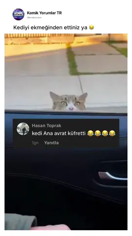 Kediyi ekmeğinden ettiniz 😡😡