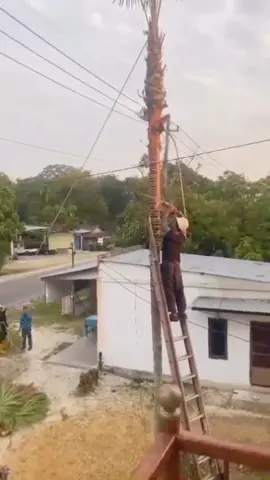 Logging Dangerous Moments #satisfying #tree #asmr #giant #oddlysatisfying 