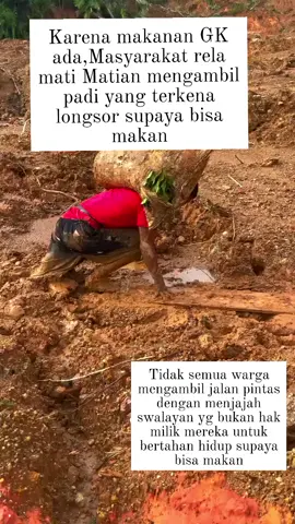 Yaallah betapa sedih kurasa..untuk menyambung hidup selepas terjadinya banjir. Bagaimana dengan keadaan disna ma'eee.apa kalian bisa makan  #sedih #prihatin #sibolga #tapteng #tapsel
