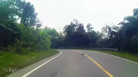 #MARI_MENARI #MARI_IKUTI #POWER_METAL