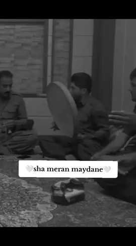 #هەمووتان_دڵن😍💙ئەکتیڤبن #شەمیران_مەیدانی #اکتیڤم #دابەزیوە 