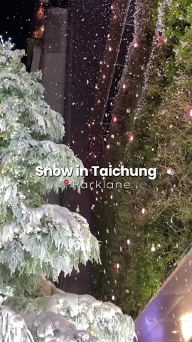 Christmas came early to Taichung with this snow in Parklane 😍❄️ ⏰ Opening hours: 17.00~22.30 🕕 Snow show times: 18:00, 19:00, 20:00, 21:00 📍 勤美草悟 聖誕村 Parklane Christmas #勤美草悟聖誕村 #parklanechristmas #taichungchristmas #taichungchristmastree #taichungsnow 