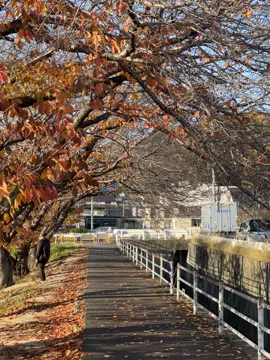 besok udah DESEMBER dan besok hari SENIN🥲  #fyp 