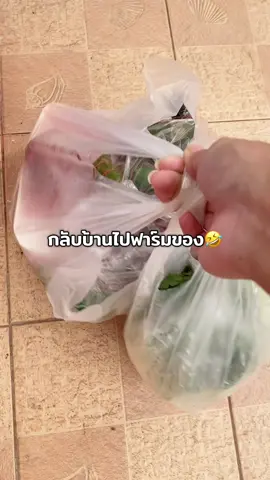 คุณแม๊😱😱 ประหยัดไปทั้งอาทิตย์