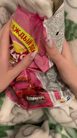 #к #о #т #чипсы #кот 