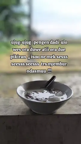 Jalani hidupmu. Ambil kesempatan. Jadilah gila. Jangan tunggu lagi. Karena hari ini adalah hari tertua yang pernah kamu kunjungi dan yang termuda dari yang pernah kamu datangi. #fyppppppppppppppppppppppp #viral #estarikunjang #kunjang #kediri24jam 