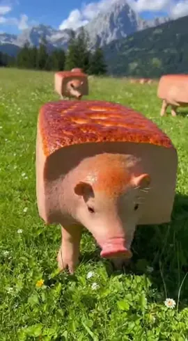 Tiere in freier Wildbahn Teil 3: das Leberkäs #animal #food #nature 