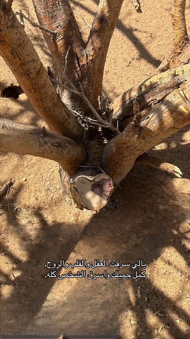 #قلب #حطب #اشتاء #الحب #stitch 