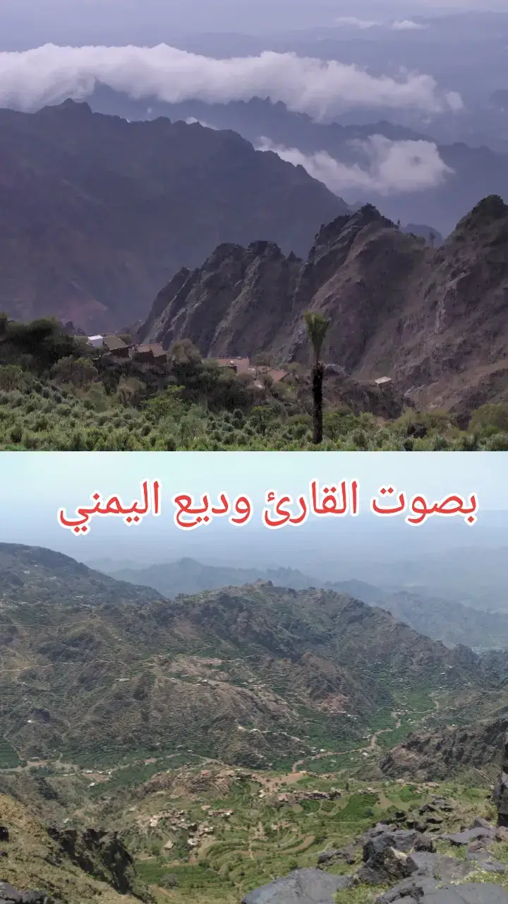 #اللهم_صل_وسلم_على_نبينا_محمد #لاله_الا_انت_سبحانك_اني_من_الظالمين🥺🤲 #