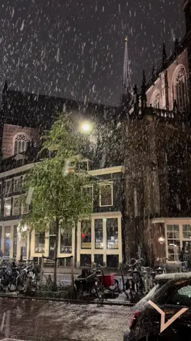 #snow #amesterdam ☃️❄️