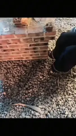 #tangbanyeu #vitamin100✌️ #capdoi #viralfypシ #ngoctram☘ 