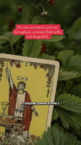 #EmClimaUltraLeve #karma #reclamo #perdita #benedizione #tarocchi #cartomante #fyp #perte #amore #ritorno 