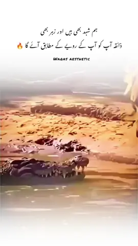 𝙝𝙖𝙖𝙣 𝙜 ✅ #attitude #foryou #fyp #foryoupage #unfrezzmyaccount 