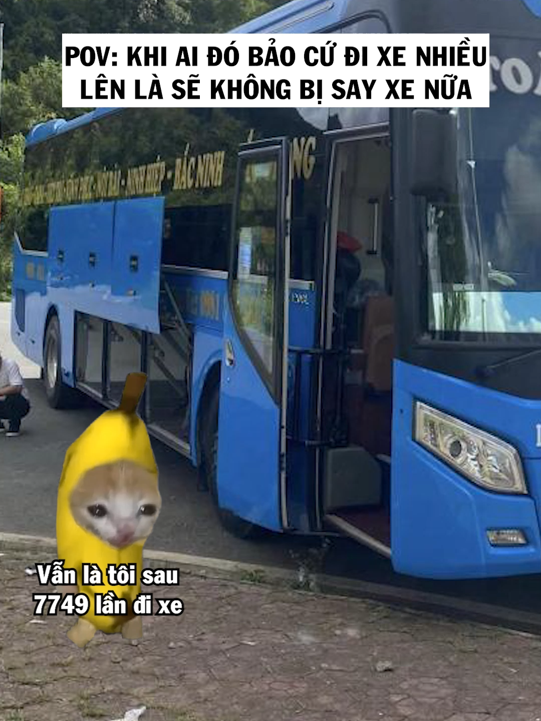 Không bao giờ, không thể nào có thể hết say được#foryou #cat #memes #nupgamgiuong #j4f #meme #fyp #funny