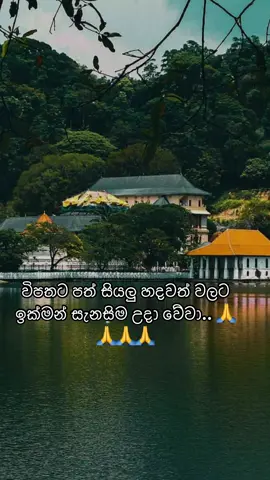 එක්ව ප්‍රාර්ථනා කරමු...🙏🙏🙏