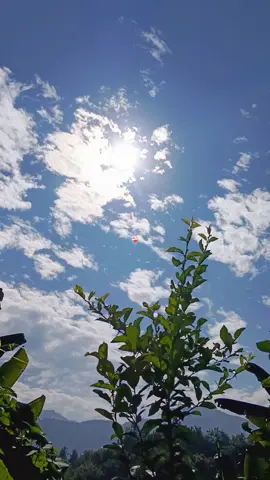 ❤️‍🩹 #foryoupage #keepsupporting❤️ #repostvideo #viral #flypシ 