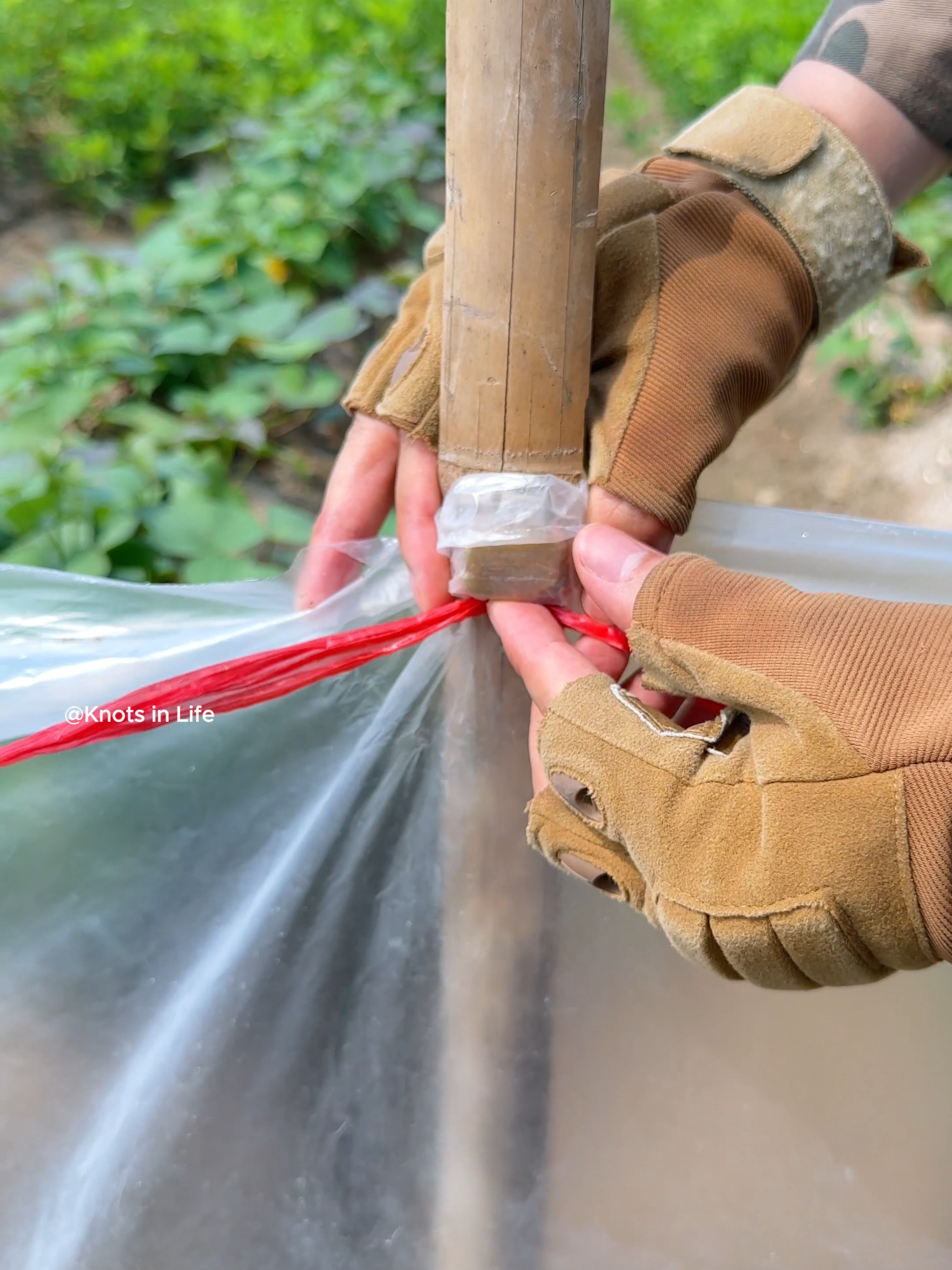 Useful Knot Technique for Tarp Corners – Works Great!