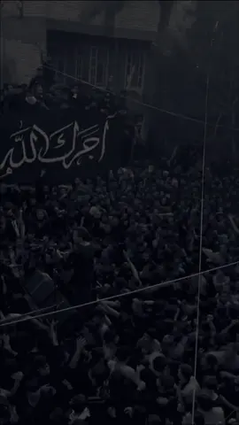 منگبين الساده //عدهم عزيزة وحملت..💔#سيد_احمد_المنصوري #سيد_مهدي_البكاء 