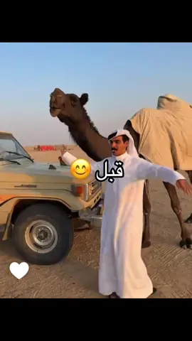 @ابو نمر الجعلى515 