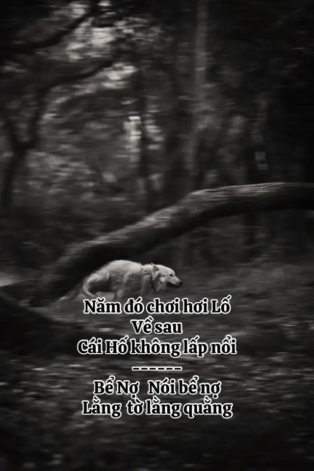 #cuocsong #xuhuongtiktok #ngheo #trietlycuocsong #phatphapnhiemmau 