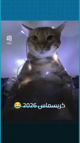 كريسماس 2026 #دربونه #تحشيش_عراقي #كريسماس