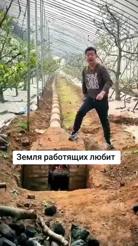 🍎 Земля работящих любит...🪏🔥 #устройства для урожая #инструменты  #сад #огород  #оригиальные_идеи 