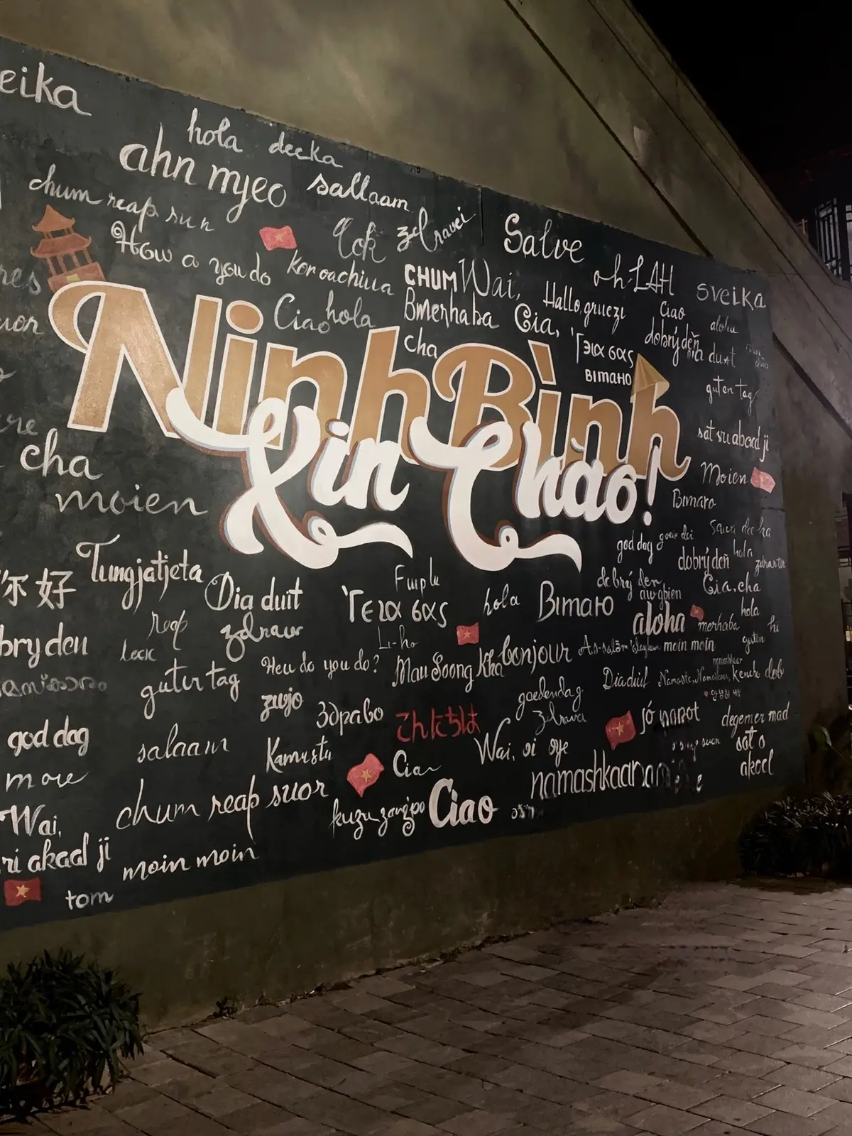 Ninh Bình🫶🏻 #hoalu #viral #fypp