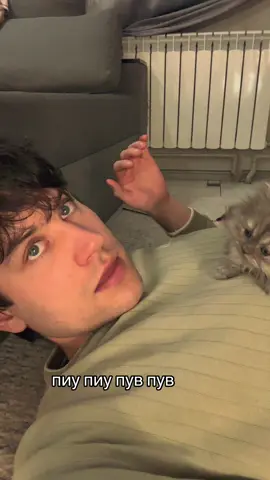 Ааааааааааааааа #котики #кот #kitten #cats #catsoftiktok 