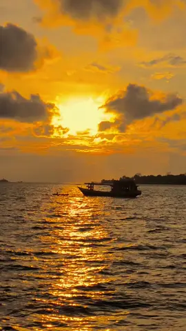 Tere Bina Ye Dil Tanha Reh Gaya #indiasong #terebinadilnaiyolagda #bollywood #fyp #viral 