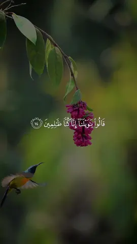 #CapCut #سعود_الفايز 