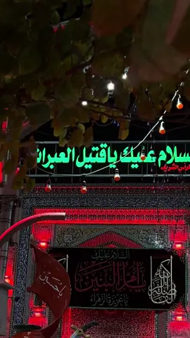 #ياام_البنين #استشهادام_البنين_عليهاالسلام #ضريح_الامام_الحسين #زياره_الامام_الحسين_عليه_السلام #كربلائي❤️❤️ 