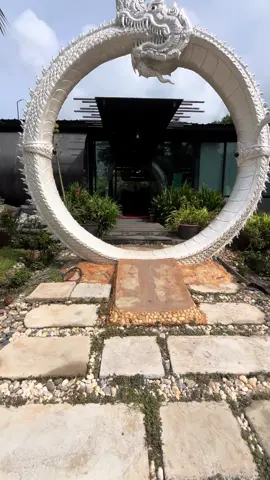 We’ve stocked some of our baby arapaima into the small pond at the front so it’s the first thing you see when you walk into our little slice of paradise 😎😁🤩 #fyp #viral #samui #fishtok #samuifishingclubandresort 